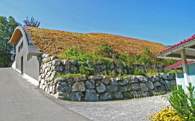 Pitched green roof